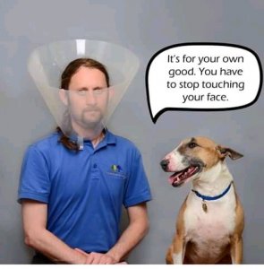FB_IMG_15844904888062363.jpg