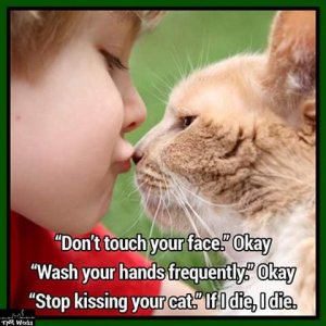 kissingcat.jpg