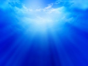 blue2.jpg