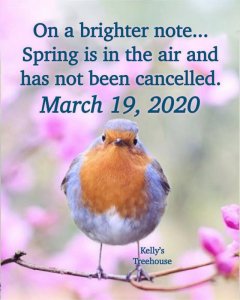 spring111.jpg