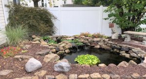 pond.JPG