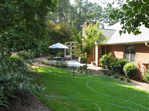 Pecos Backyard 1.JPG