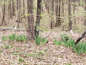 20200319_154613.jpg