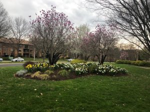 Spring.jpg