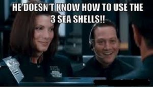 sea shells.jpg