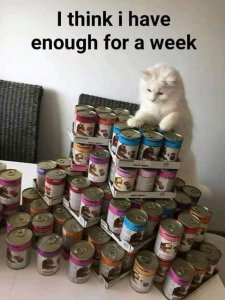 enough.jpg