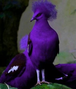 70a20df75f75085880da3ee33750ec17.jpg
