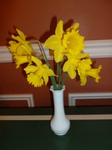 Daffodils (768x1024).jpg