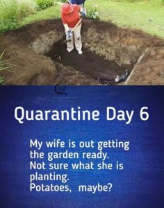 quarntineday6.jpg