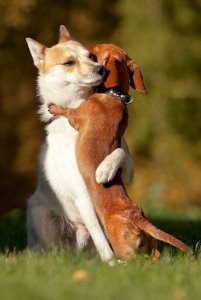 Friends @.jpg
