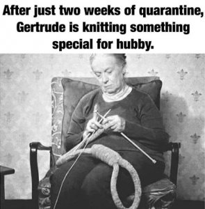 grandma knitting.jpg