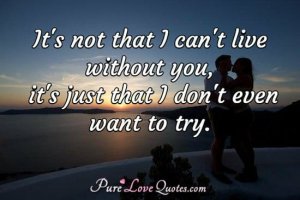 3C6A1D6E-3C7B-4D3B-BB69-03A94F75A13C.jpeg