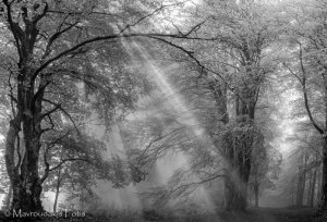 blackandwhitephoto02.jpg