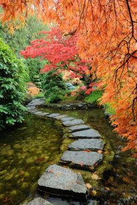 22-japanese-garden.jpg