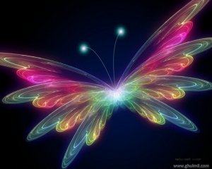 very-beautiful-3d-hd-hq-colorful-butterfly-wallpaper[1].jpg