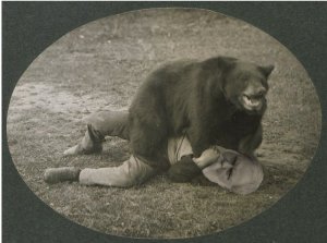 bear with me jpeg.jpg