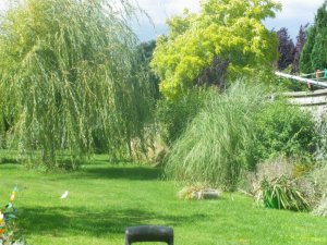 IMGP0012 (3).JPG