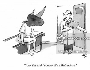 health-beauty-vet-veterinarian-veterinary_surgeon-doctor-virus-mgdn1167_low.jpg