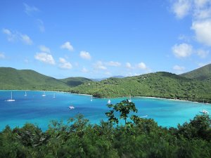 Cinnamon Bay 2 USVI copy.jpg