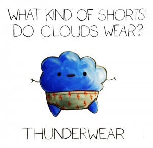 puns-galore-12__880[1].jpg