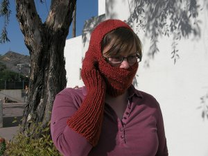 Cell Phone Ski Mask.jpg