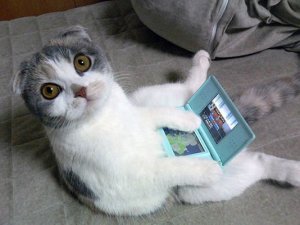 Geekish @.jpg