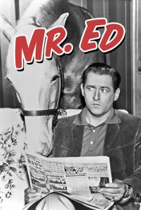 Mr Ed @.jpg