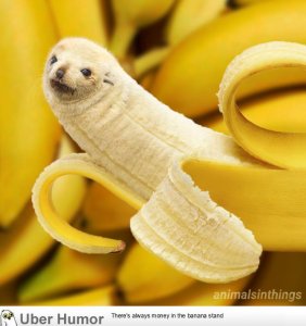 banana.jpg