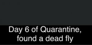 l.jpg