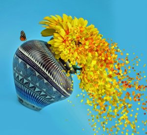 flower-4905882_960_720.jpg