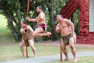 maori-113729_960_720.jpg