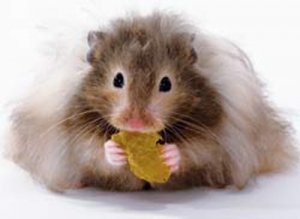 teddy2.jpg