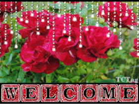 welcome5.gif