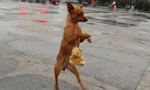 Walking @.jpg