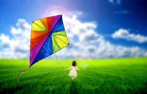 big_beautiful_kite_flying_by_child_on_makar_sankranti_hd_photos.jpg