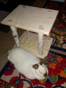 bunny_table.jpg