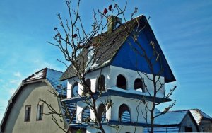 birdhouse-3975551_960_720.jpg
