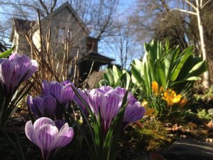 portland-spring-cover.jpg