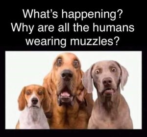 2F34237B-3CE9-4D1D-B37E-95A0F07B8EE9.jpeg