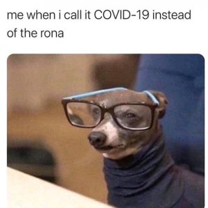 FB_IMG_15860488375333460.jpg