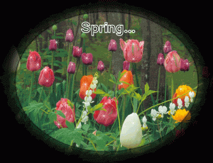 spring_001.gif