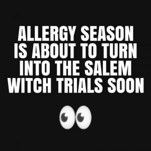 allergywitch.jpg