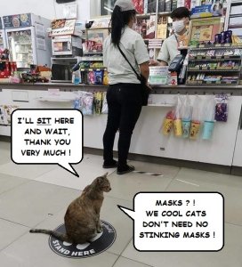 Stand_here.jpg