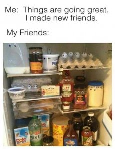 newfriends.jpg