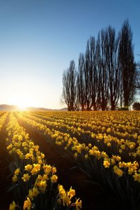 landscape-photography-50 (1).jpg