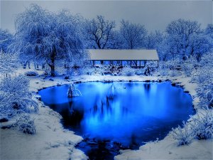 blue.pond.jpg