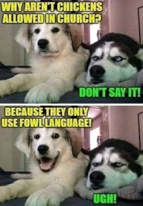 02D03E5E-9398-4361-83BC-20F46B702339.jpeg