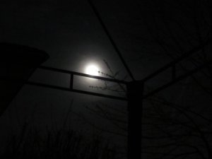 47DC5B5A-9DE3-45EC-91ED-B99B061B91D9.jpeg