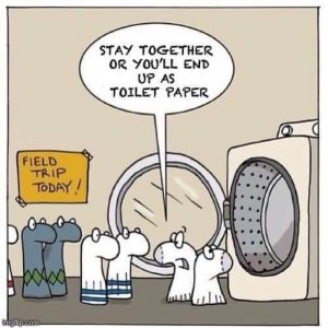 da39fe2e-0822-44c0-93b1-775e61bfe4df.jpeg