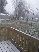 20200410_085819.jpg